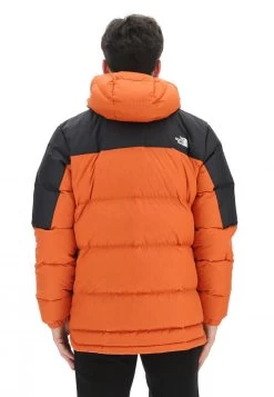 Giubbotto Uomo The North Face Diablo Art.nf0a4m9l 12 Giubbotto Uomo The North Face Diablo Art.nf0a4m9l -Negozio Da Uomo Alla Moda 31fe45cd3ea12a796938139c6ce1c31a